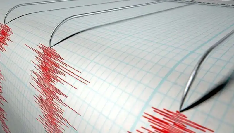 Yeni Zelanda'da Şiddetli Deprem: Ülke Sarsıldı, İlk Bilgiler Geldi