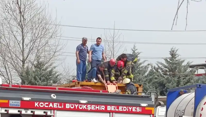 Tehlikeli Madde Taşıyan TIR Kazası: İki Kişi Hayati Tehlike ile Hastanede