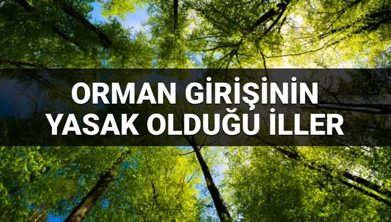 2025'te Hangi İllerde Ormana Giriş Yasak? Detaylı Liste!