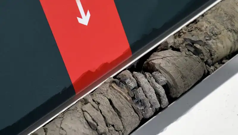 Müze Otoparkında Bulunan Dinozor Fosili, Tarihi Değiştirebilir!