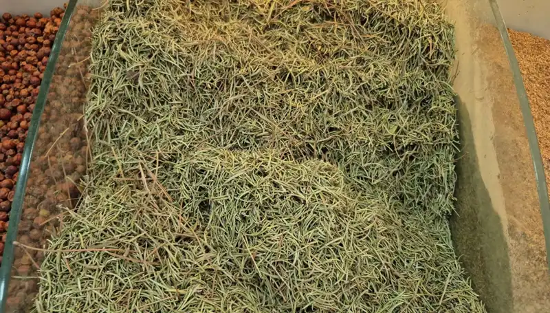 Yaz Aylarında Artan Online Satışlar: Ölüme Davet Eden Ürünler!