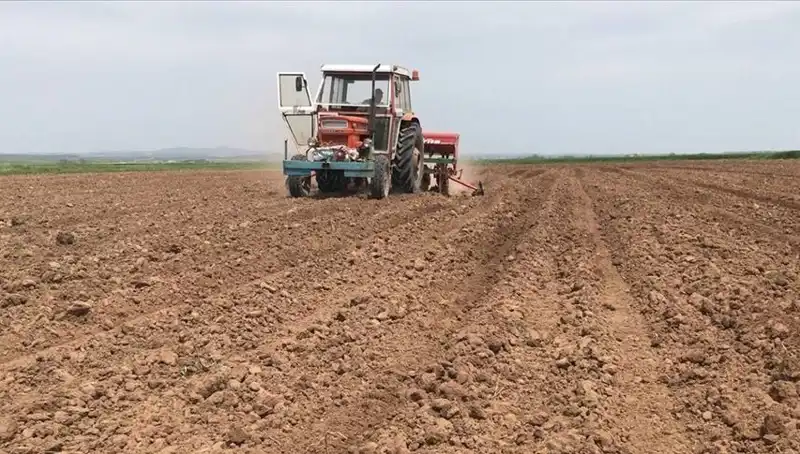 Son 35 Yılın En Kurak Mart Ayı: Yağış Miktarı Yüzde 59 Düştü!
