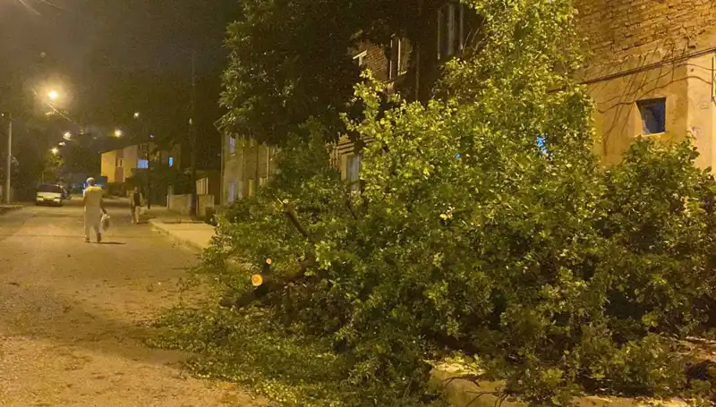 Karabük'te Fırtına Hayatı Olumsuz Etkiledi: Son Durum Ne?