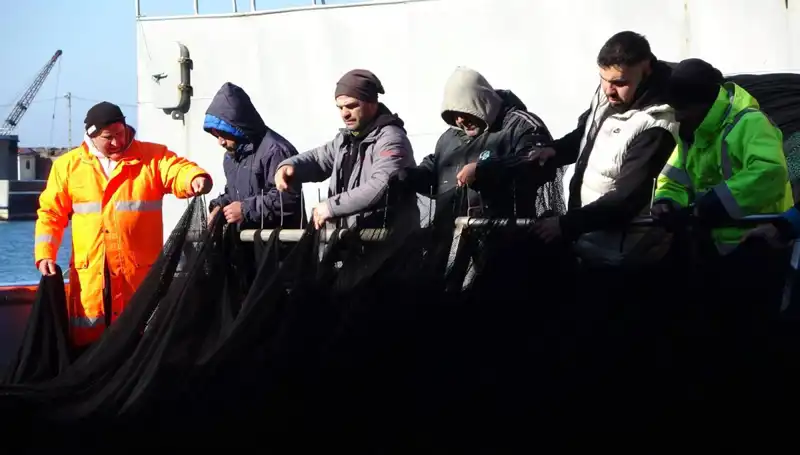 Hamsi Krizi: Balıkçı Tekneleri Neden Erken Veda Etti?