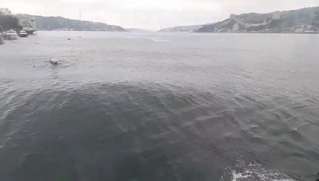 İstanbul Boğazı’nda Kıyıları Vuran Dalgalar: Doğa Oyunları mı, Alarm mı?