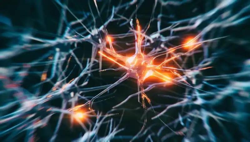 Alzheimer Vakalarının Artışındaki Gizemli Nedenler ve Etkileri
