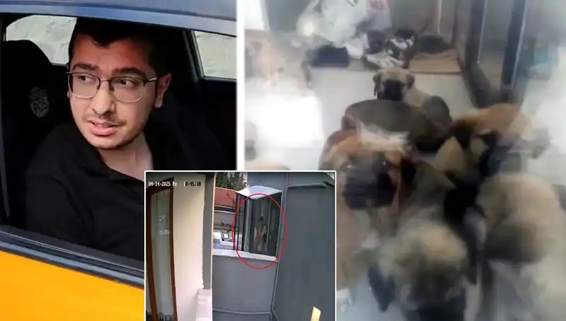 Sokaklarda Çağrı Yapan Doktorun İğrenç Suçları: 12 Yavru Köpek Kıyımı