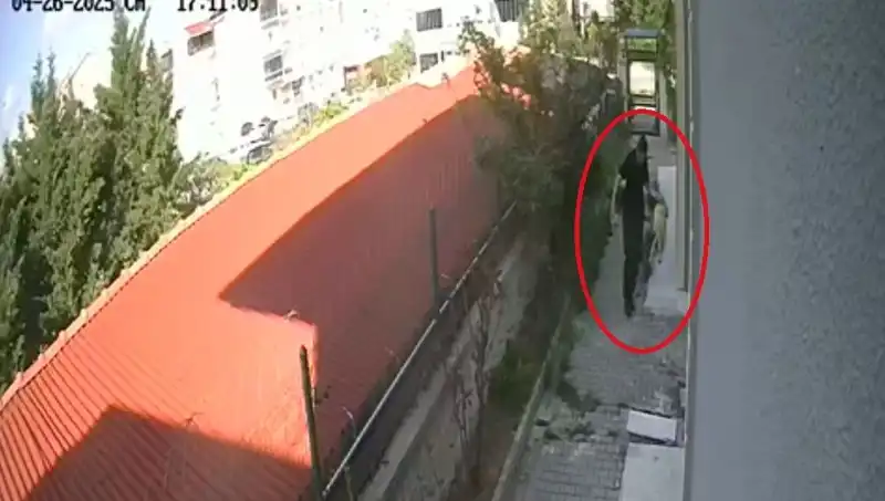 Veteriner Doktor, Sahiplendiği Köpekleri Hayvan Tacizinden Tutuklandı