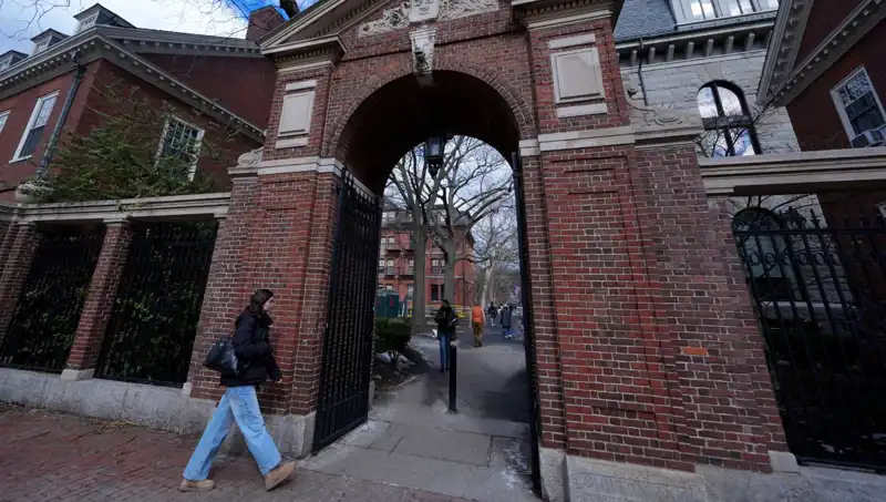 Harvard Profesörlerinden Dikkat Çeken Davalar: Trump Yönetimi Hedefte!