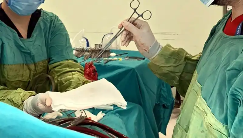 Kalp Kapağı Ameliyatında Müthiş Başarı: 7 Saatlik Zorlu Süreç