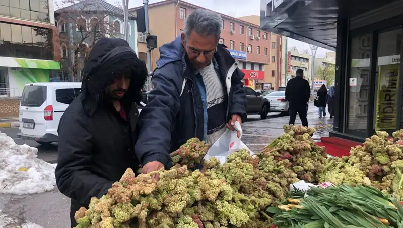 Kendiliğinden Yetişen Süper Besin: Kanserin Yeni İlaç Adayı Mucizesi