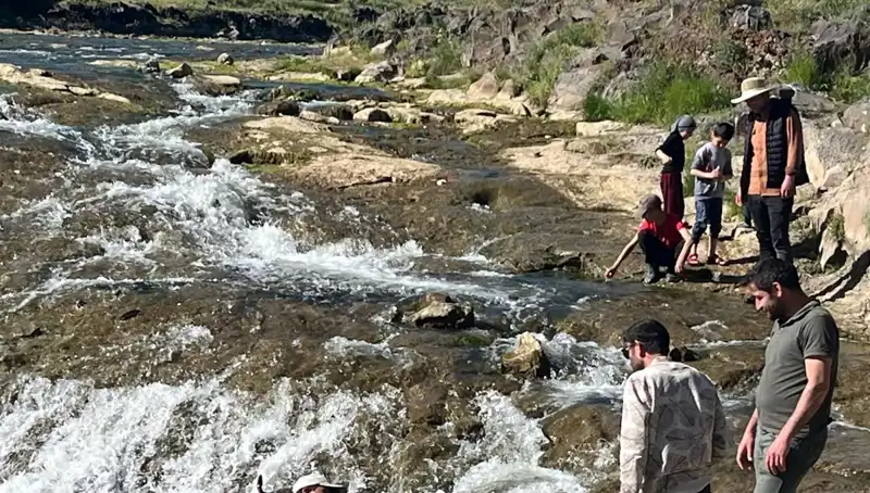 İnci Kefalinin Büyüleyici Göçü: Doğanın Harikası Turistleri Büyülüyor