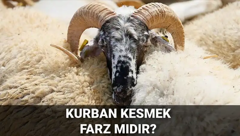 Kurban Kesmek Farz Mı? Diyanet'in Görüşü ve Şartları Nelerdir?