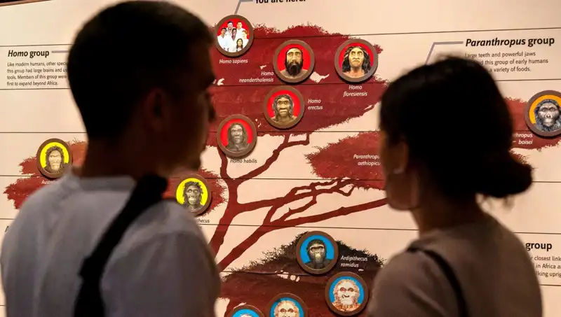 Modern İnsanların Yok Olmaktan Kurtuluşu: 40 Bin Yıl Önceki Hayatta Kalma Stratejileri