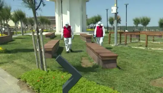 Kene Aşırı Artış Gösterdi: Halka Açık Yerlerde İlaçlama Zorunlu Hale Geldi