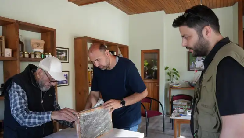 Şifa ve Zehrin Sırları: 1 Çay Kaşığıyla Dikkat Edilmesi Gerekenler