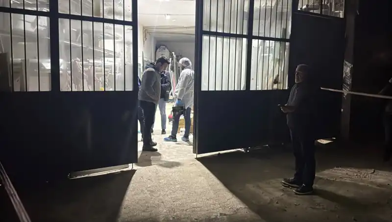 İş Yerinde Dehşet: Cinayet Sonrası Şok Edici Olaylar