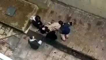 Kampüste Köpek Panik Yaptı, Öğrenci 4 Metreden Betona Düştü!