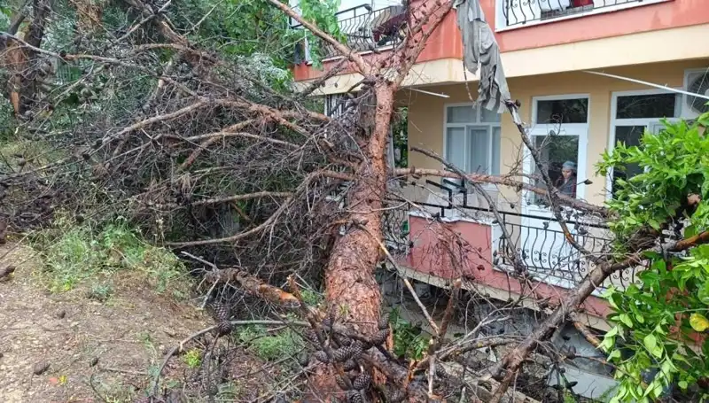 Yağmura Direnemeyen Bina, Korkunç Bir Şekilde Yıkıldı!