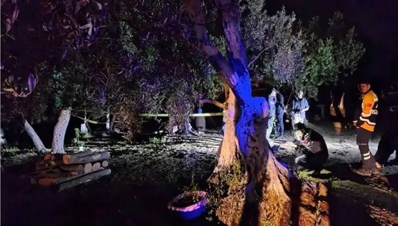 Çiftlikte Baltalı Vahşet: Şok Edici Tutuklama Ayrıntıları Ortaya Çıktı