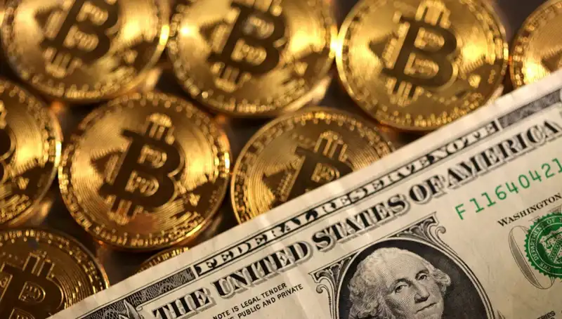 Kripto Fonları Piyasa Çöküşüyle Devasa 4,75 Milyar Dolar Zarar Etti