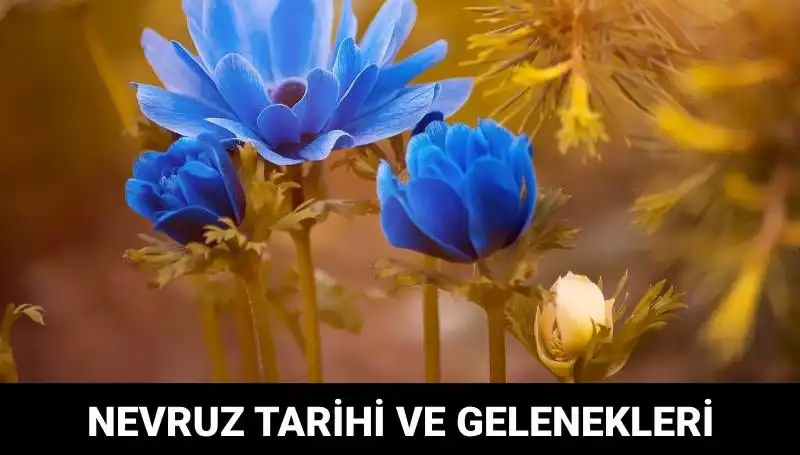 Nevruz Bayramı: Kutlama Geleneği ve Anlamı Hakkında Her Şey