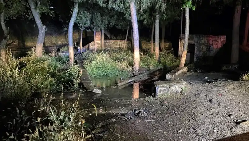 Manisa'da Parkta Gizemli Bir Ölüm Olayı: Detaylar Gündemi Sarstı