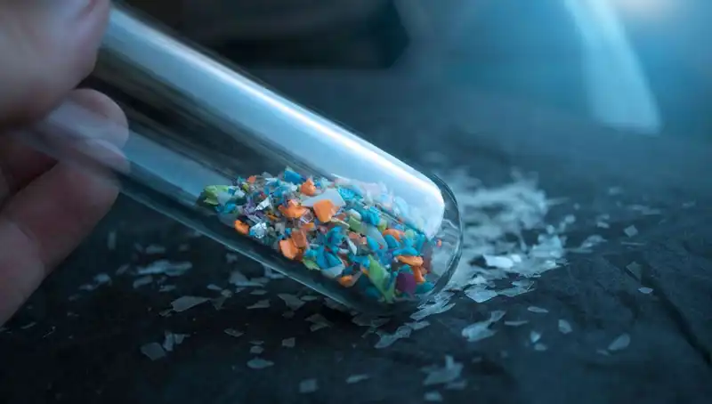 Mikroplastikler: İnsan Beyninde Derin Etkileri ve Sağlık Riski