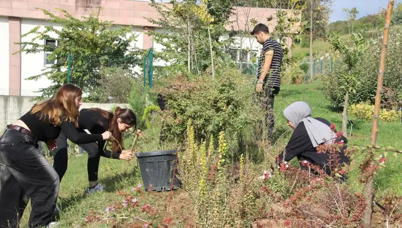 Düzce'nin Yıldızı: Hayalini Gerçeğe Dönüştüren Başarılı Girişimci